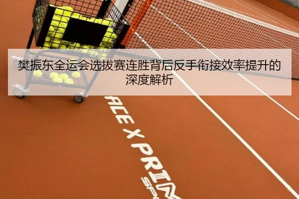 樊振东全运会选拔赛连胜背后反手衔接效率提升的深度解析